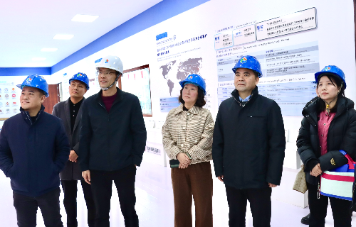 陽(yáng)光電源股份、宜賓智能制造行業(yè)協(xié)會(huì)、宜賓安徽商會(huì)調(diào)研遠(yuǎn)東電纜（宜賓）